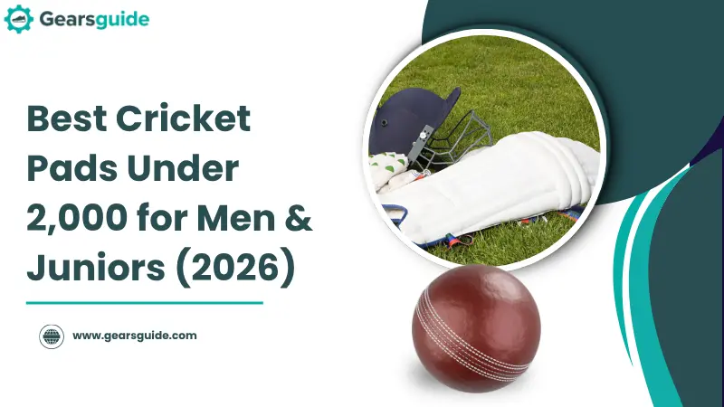 Best Cricket Pads Under 2,000 for Men & Juniors (2026)